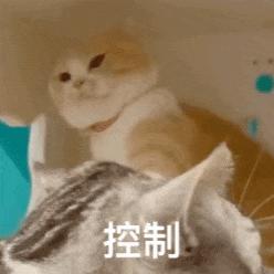 沙雕搞笑表情包头像,沙雕搞笑表情包图片静图