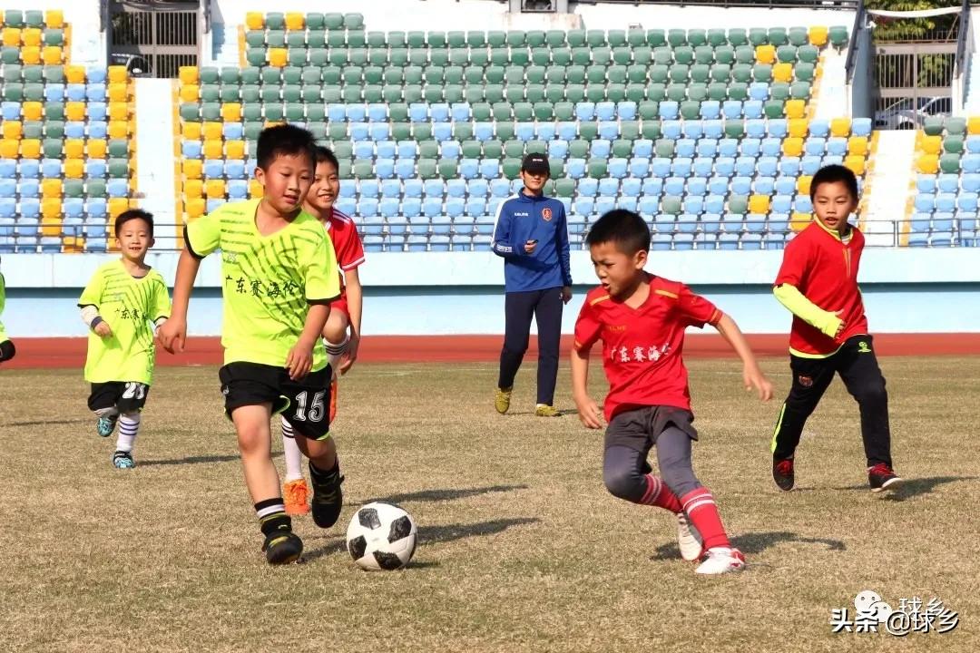 体教融合完善青少年体育赛事体系,体教融合青少年篮球比赛