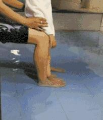 神回复：老鼠贴粘到的，吃了不会犯法吧？网友：自首，争取死缓