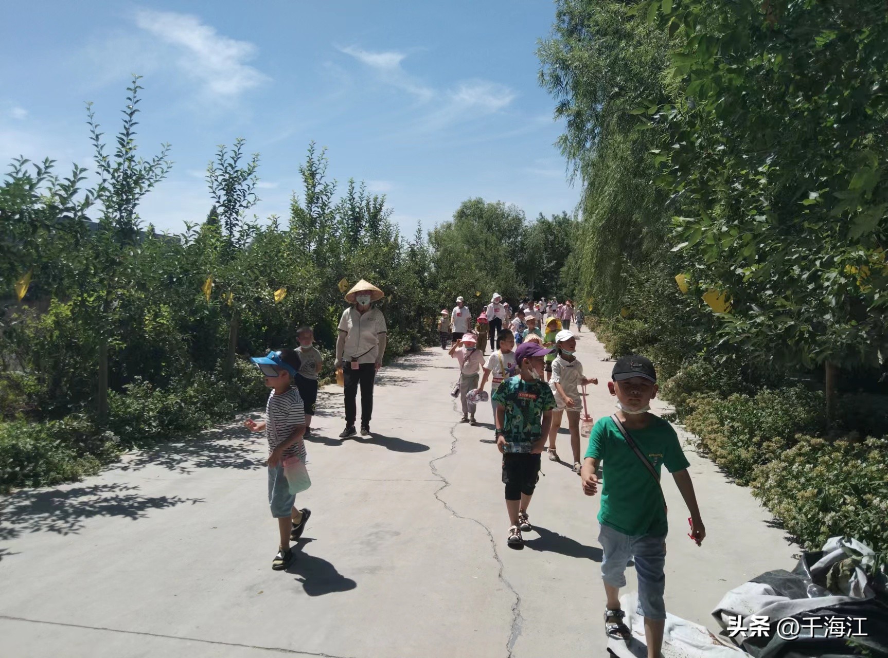 塞外水乡度假村怎么样,乌鲁木齐新市区塞外水乡门票价格