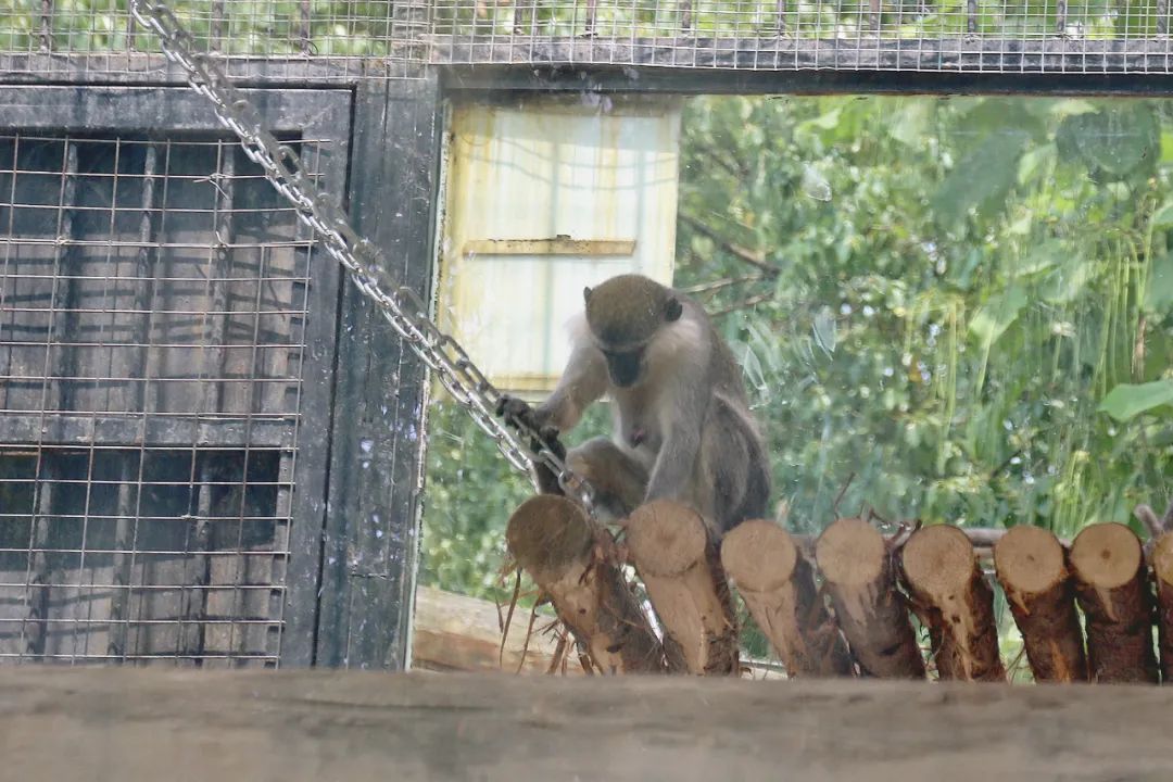 淮安动物园位置,淮安动物园多大面积