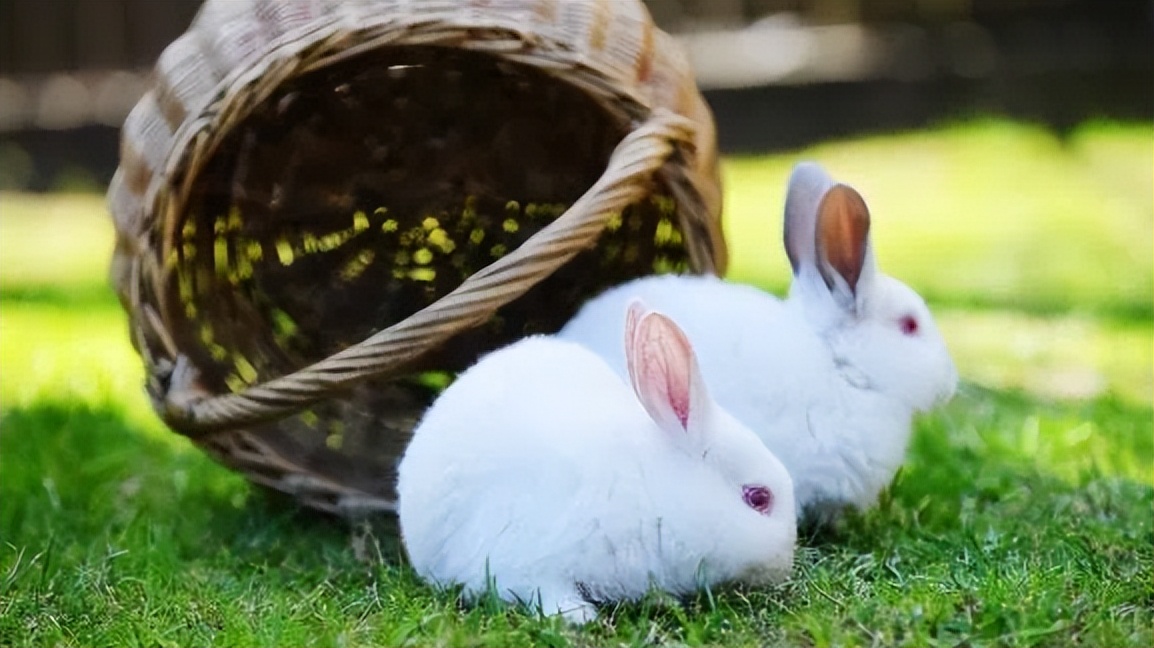 母亲节来打卡|长春电影嘉年华又上新啦！这份攻略请收好→