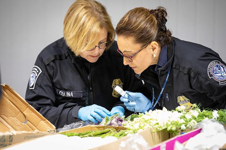 美国对中国农产品出口,美国对中国的出口2000亿美元