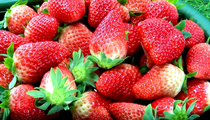 2019年渭南发生的事,渭南今日头条最新事件