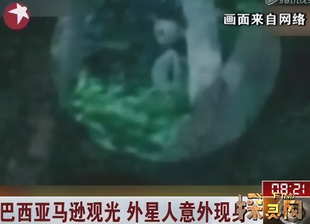 巴西亚马逊外星人被证实了吗,巴西外星人事件