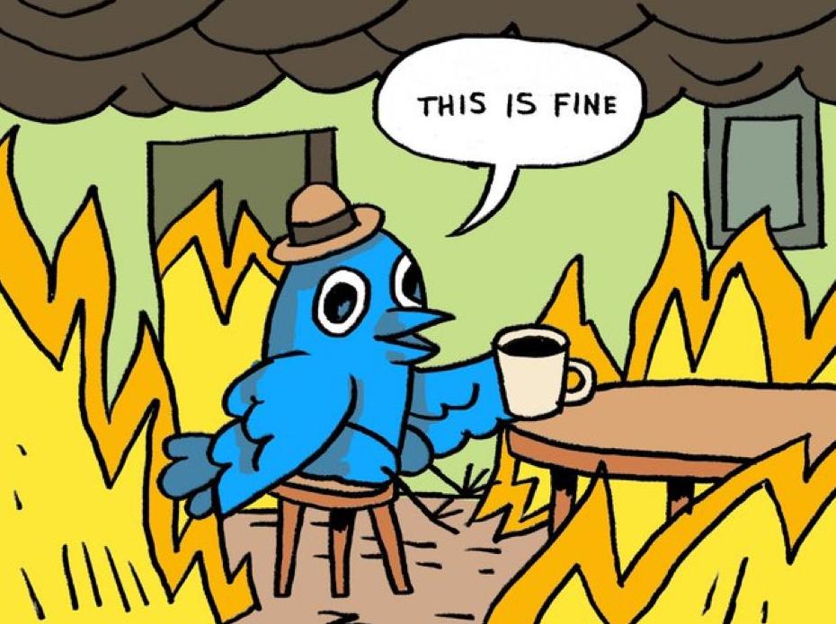 马斯克收购推特会释放被封号码吗,马斯克收购推特后各国反应