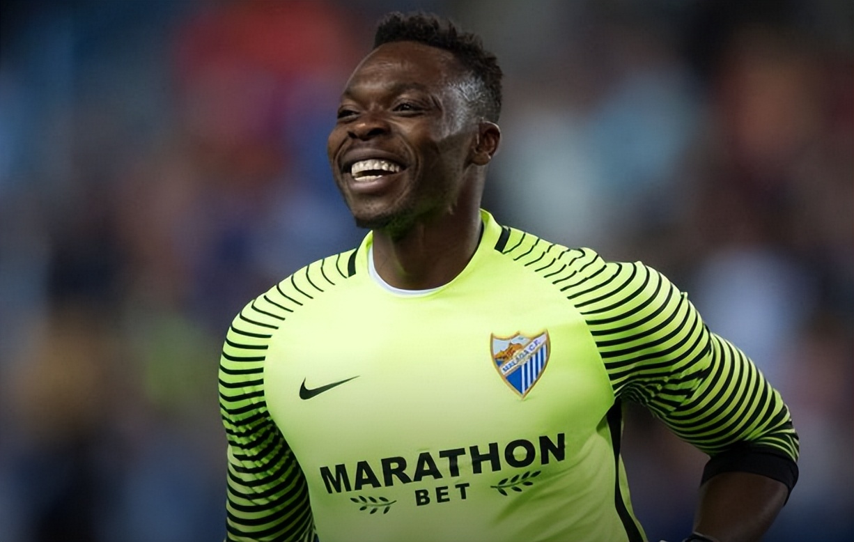 伊布最后一次的世界杯,伊布退役4k