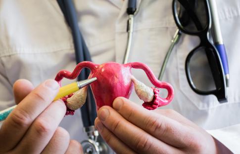 女性有子宫和没子宫区别大吗,没有子宫的女人有什么区别