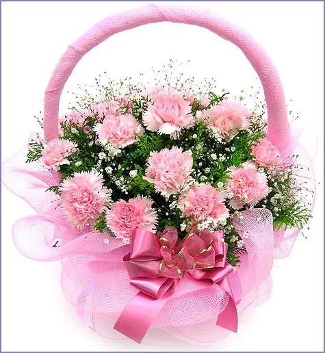 康乃馨花束壁纸,康乃馨壁纸手机超清全面屏