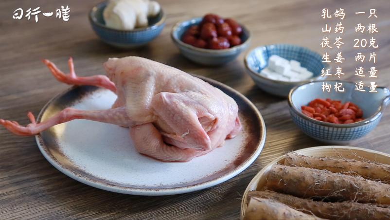 药膳滋补鸽子汤怎么炖最补气血,一鸽胜九鸡教你在家煲药膳鸽子汤