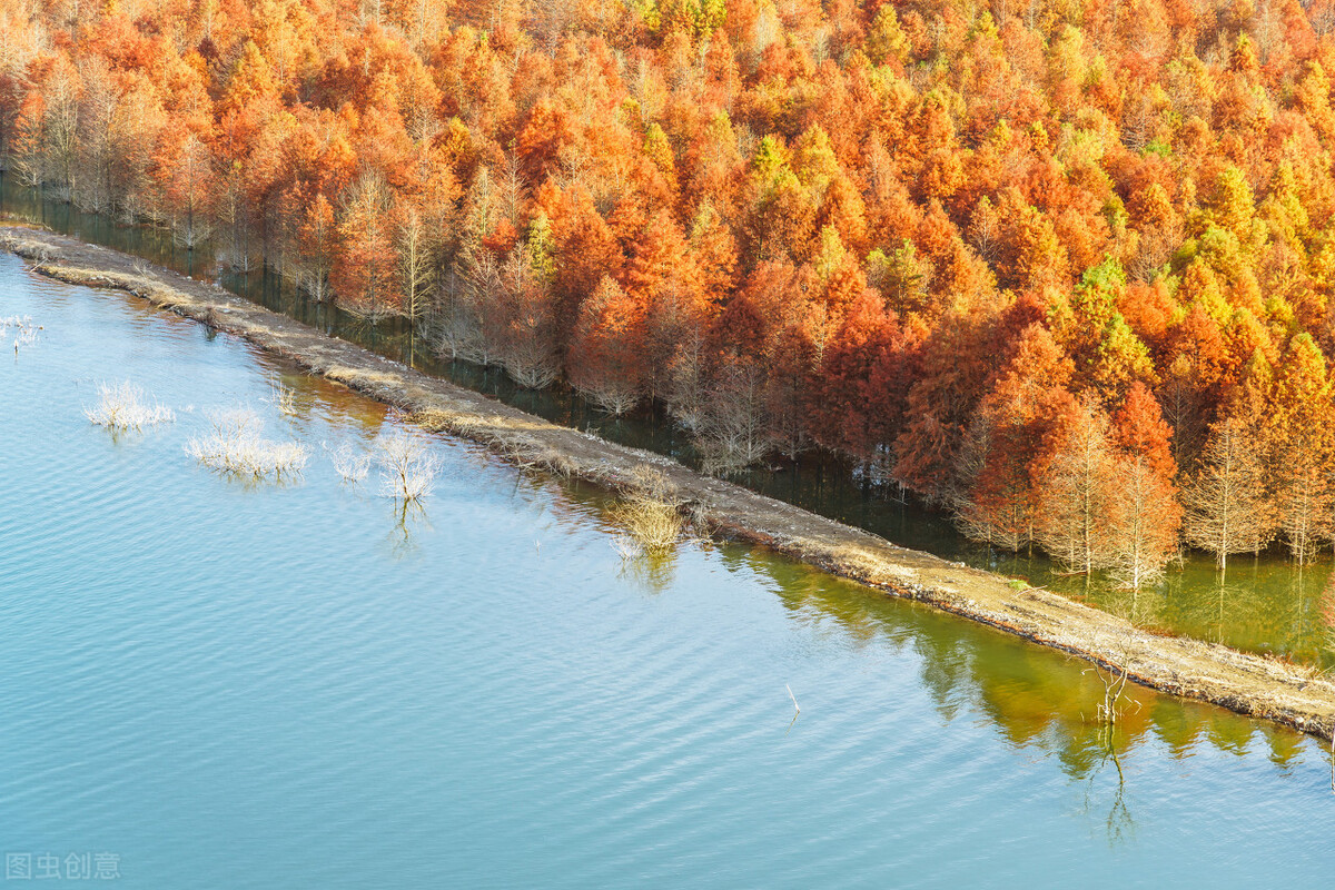 鲁班是怎么发明锯子的经过,鲁班是怎么发明锯子的阅读