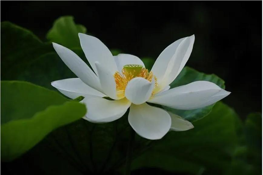 收到亲戚礼物如何拒绝他,亲戚之间千万不要做这三件