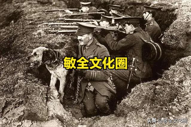 以后，我们一起去遛机器狗，相亲交友！