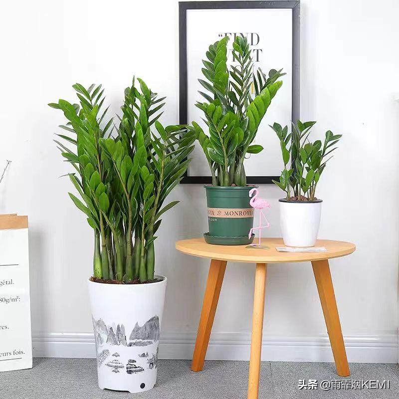 家庭装修软装都有哪些项目,哪些软装是装修必买的