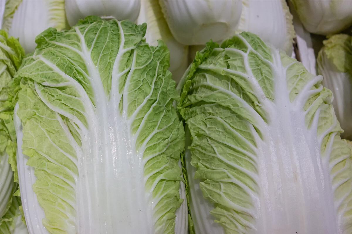 怎么区分各种蔬菜,各种蔬菜的识别