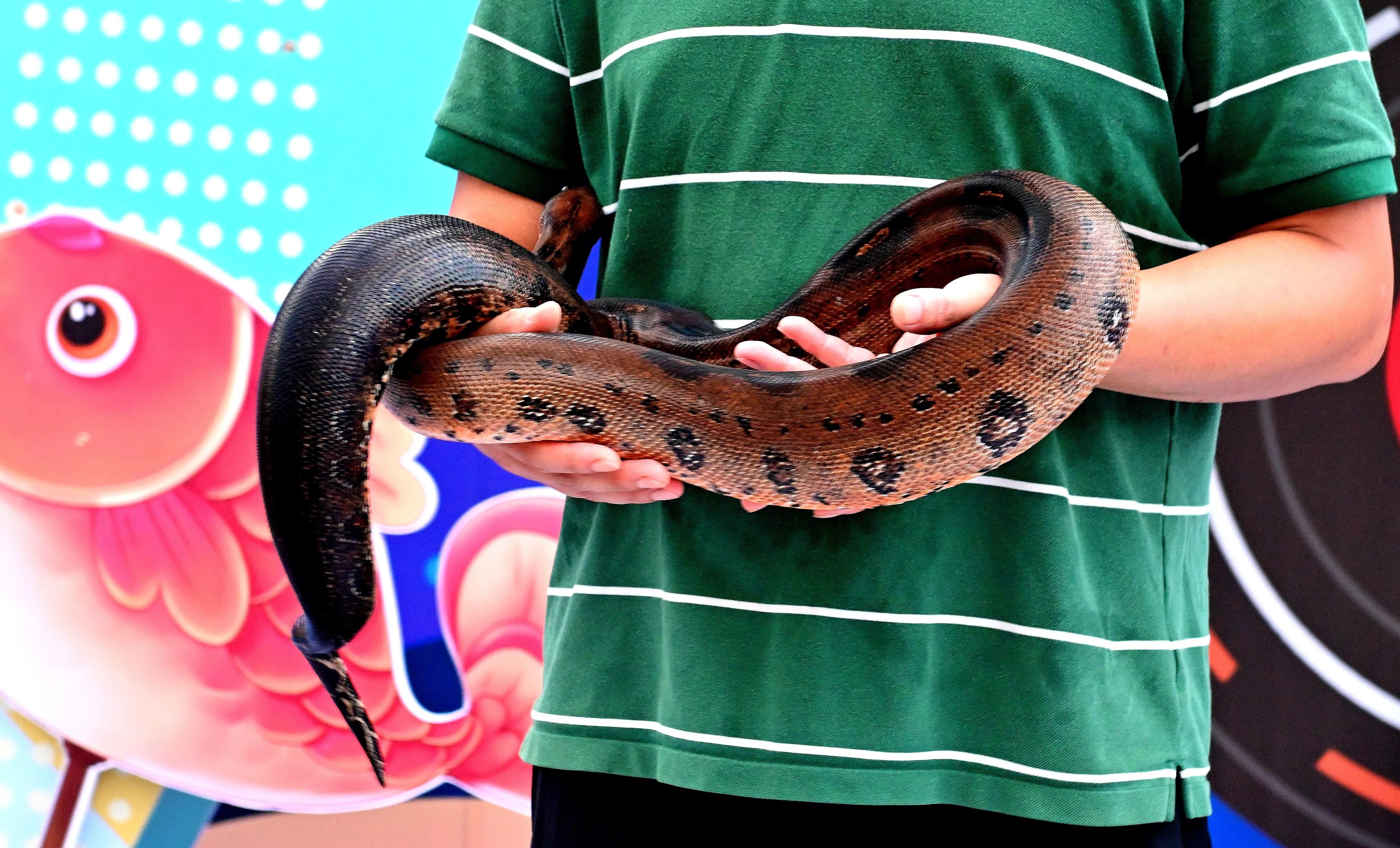 无锡动物园夜公园游玩攻略,无锡动物园攻略