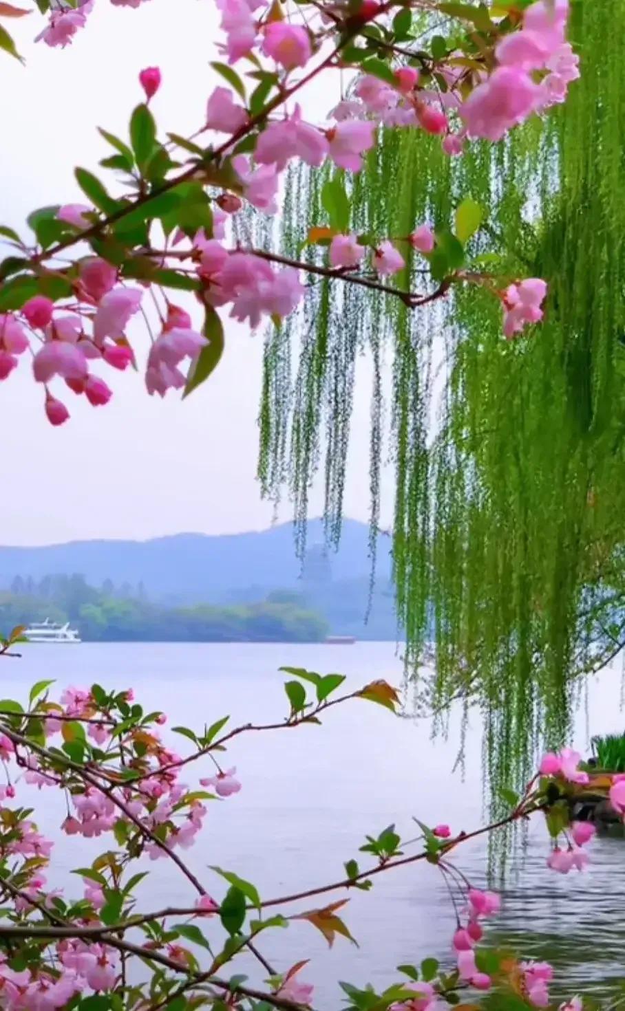 2023年03月03日星期五农历：癸卯年【兔年】二月十二八九第9天