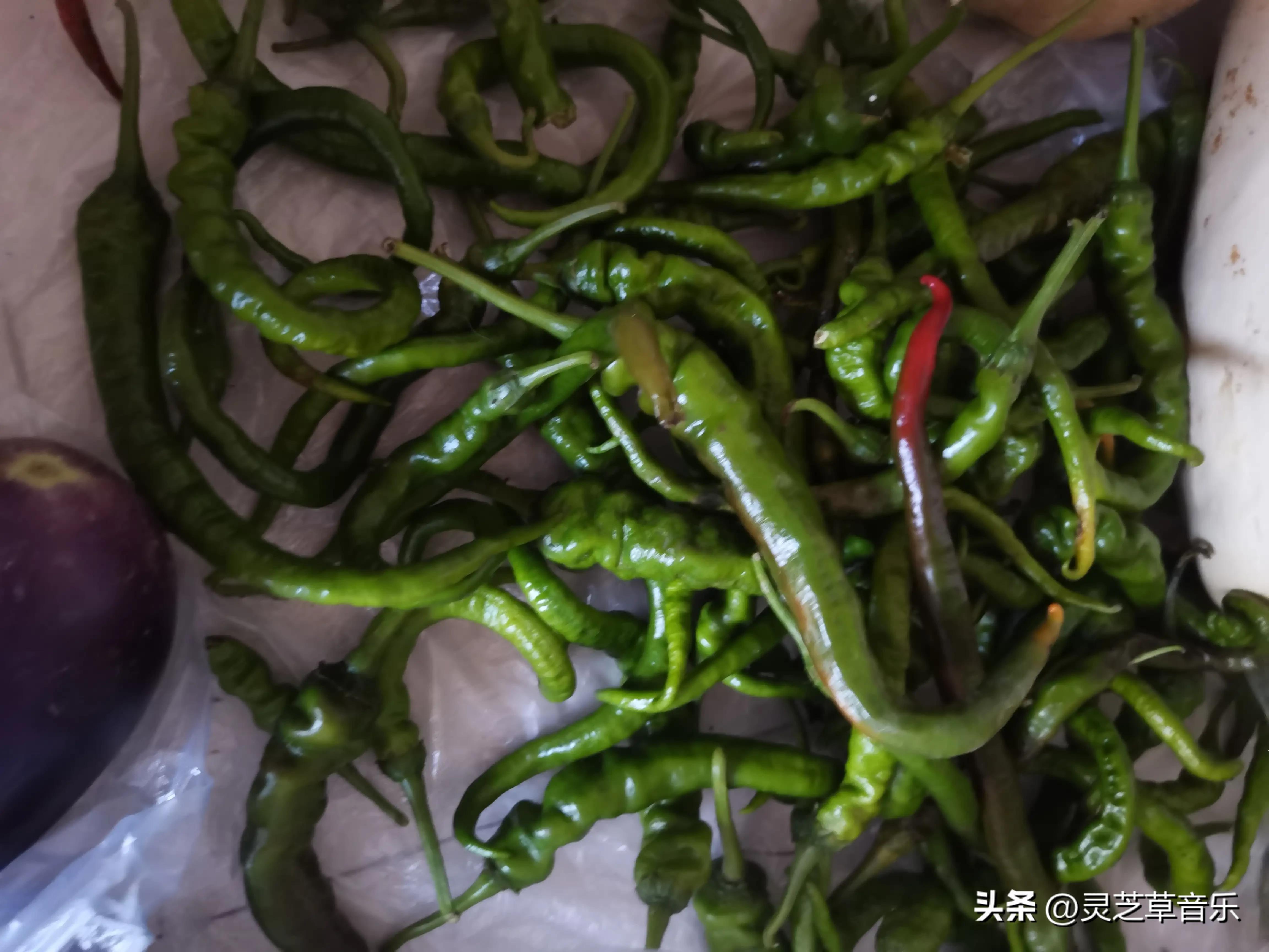 小米辣椒的腌制方法放一年都不坏,新鲜辣椒怎样放冰箱不会烂