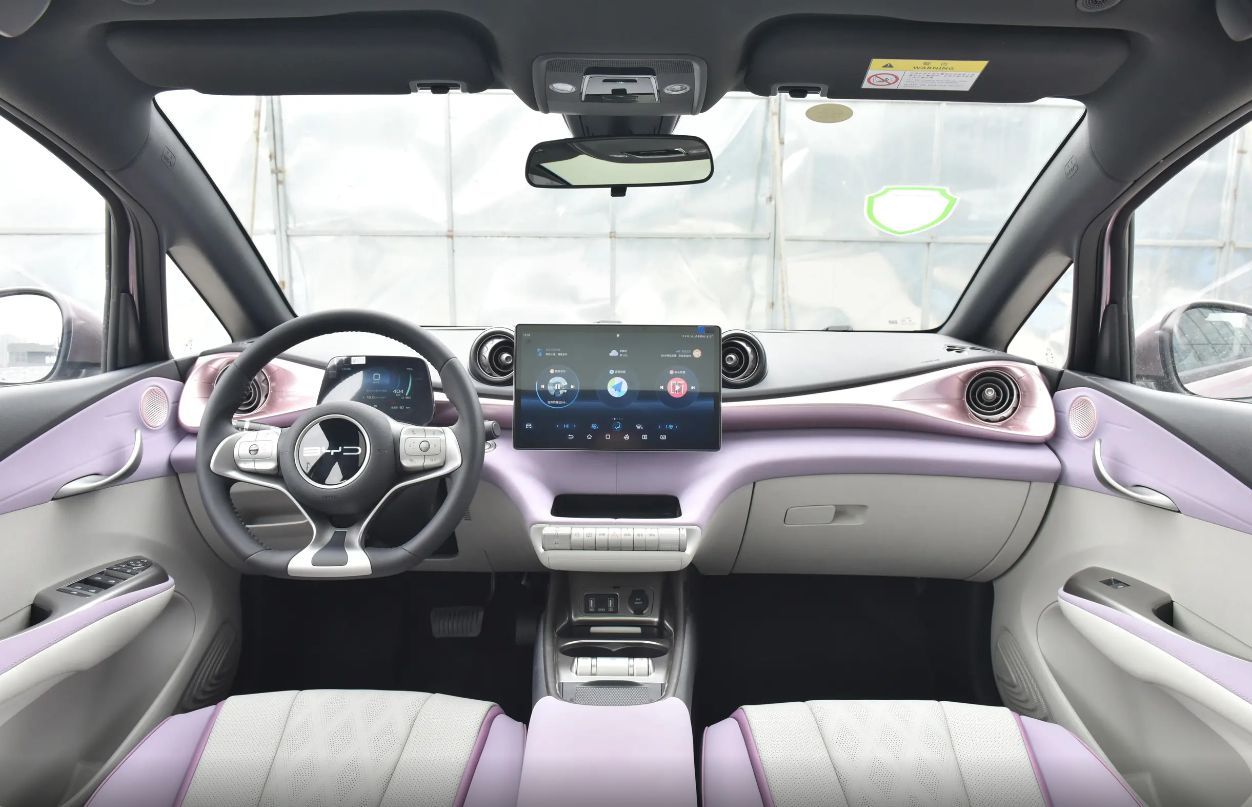 比亚迪海豚汽车冬天试驾,比亚迪纯电新车海豚体验