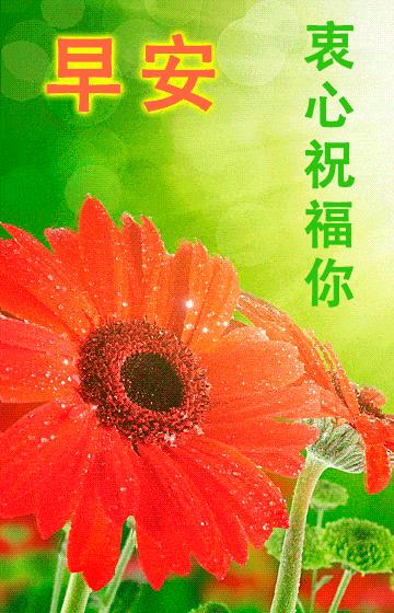 早安语录暖心短句文案图片,2015早安正能量的句子图片