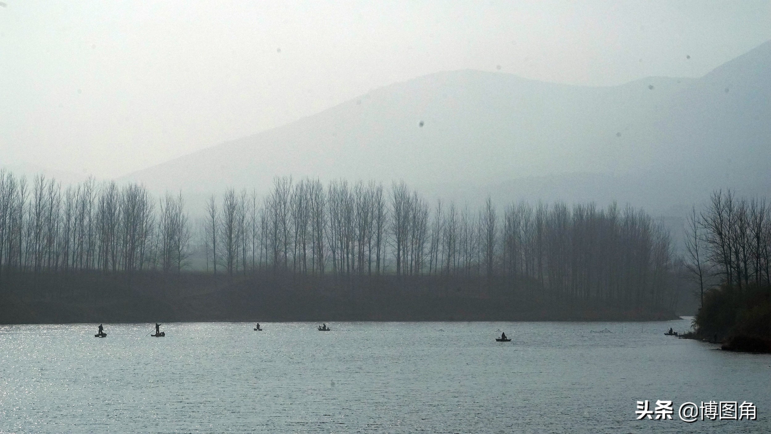 80年代农村鱼鹰捕鱼,渔民与鸬鹚捕鱼图片