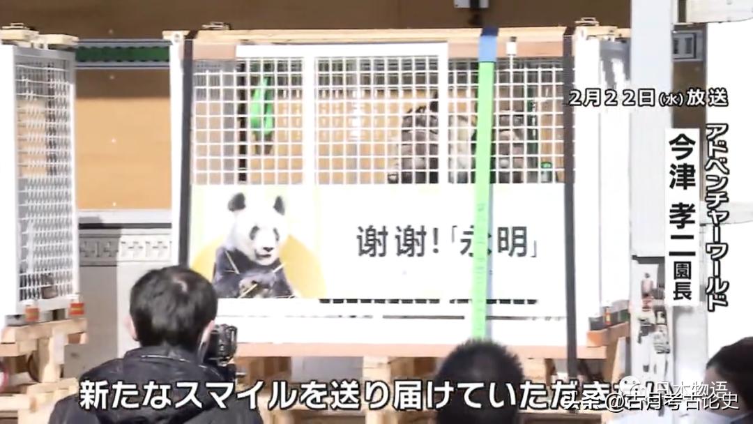 旅日大熊猫回国日本人反应,四只旅日大熊猫陆续归国