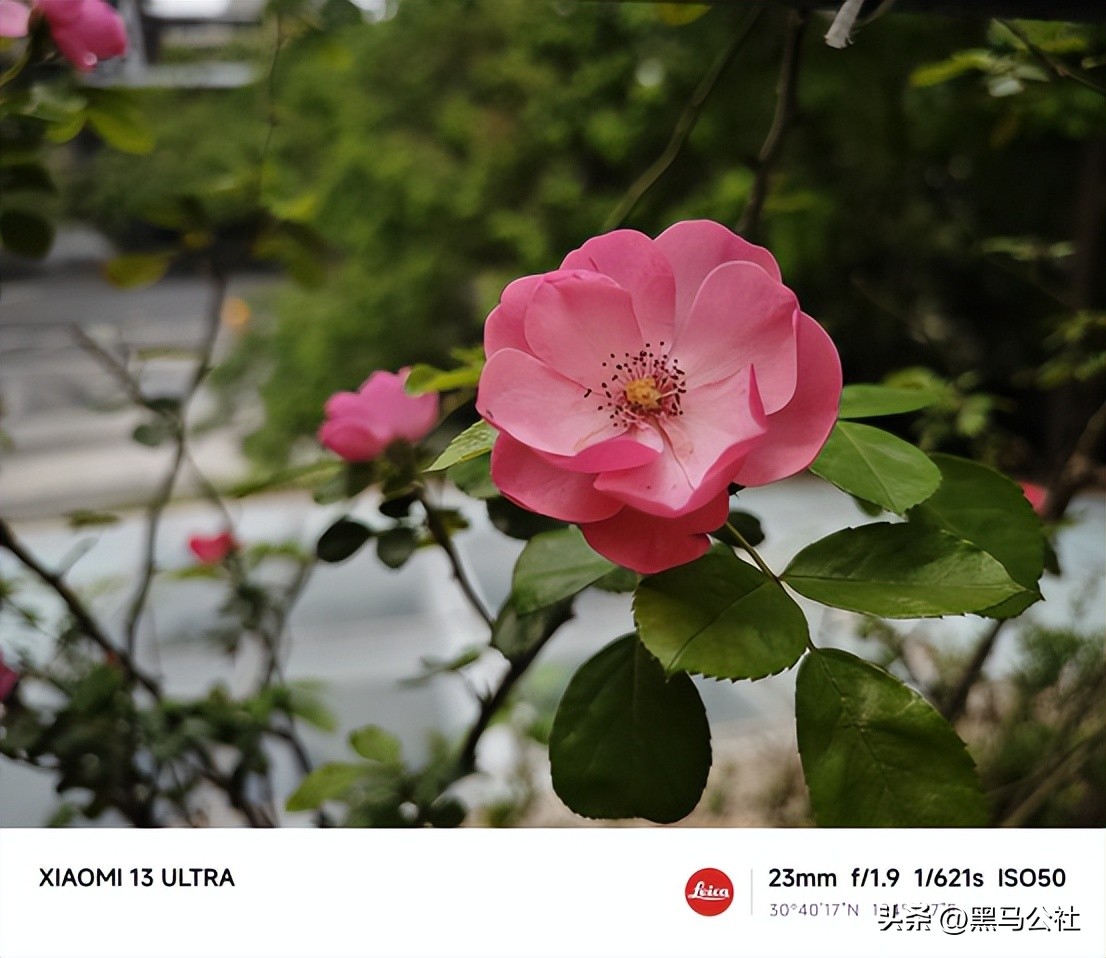 oppo和小米拍照对比,oppo大战vivo