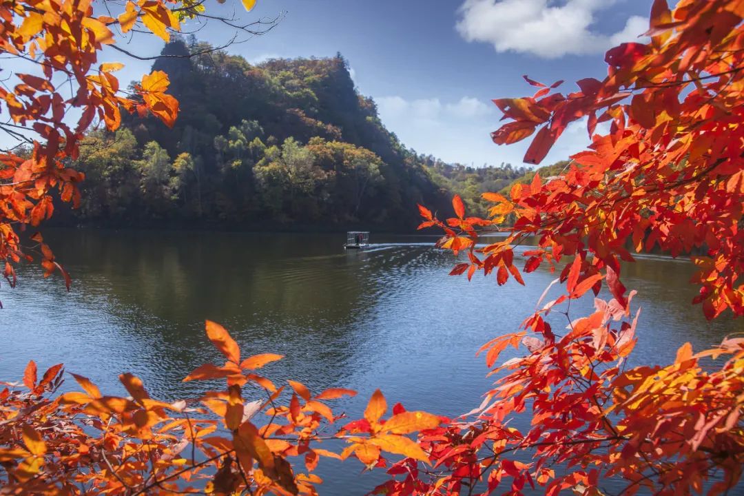 松花江风景美景视频,松花江最好看的景色