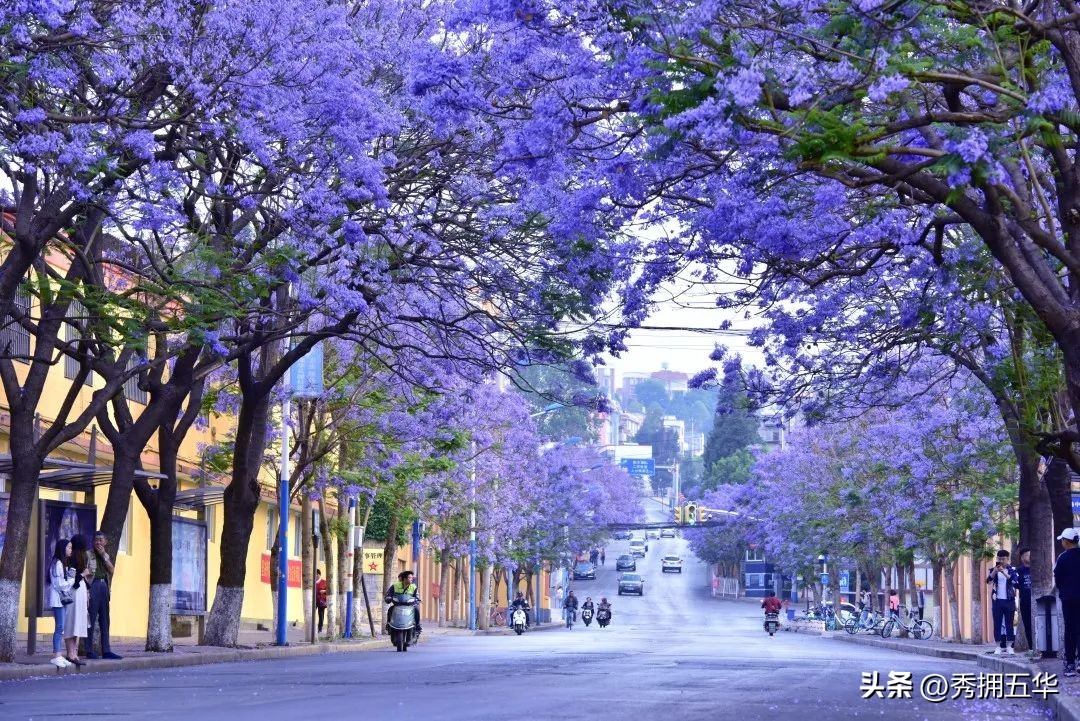 生活在昆明城中村的感受,梅州五华农村生活环境真好
