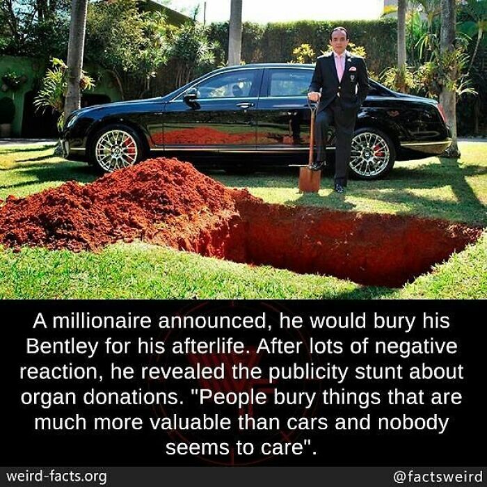 100个有趣的历史小故事,世界历史上的趣味小故事