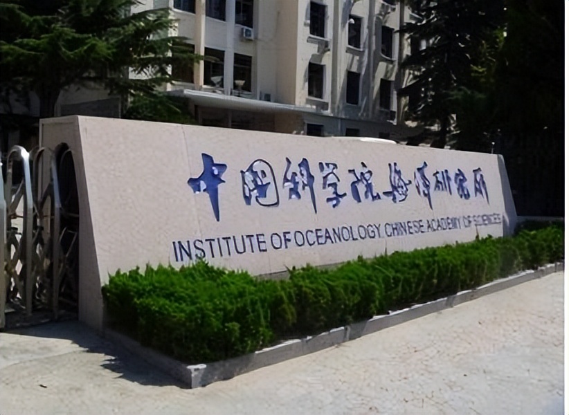 奇石长满白发的石头,1997年小伙花150元买石头专家鉴定