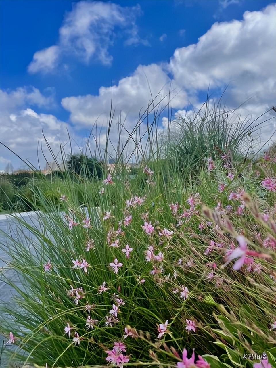 美宝莲,美爆了哟