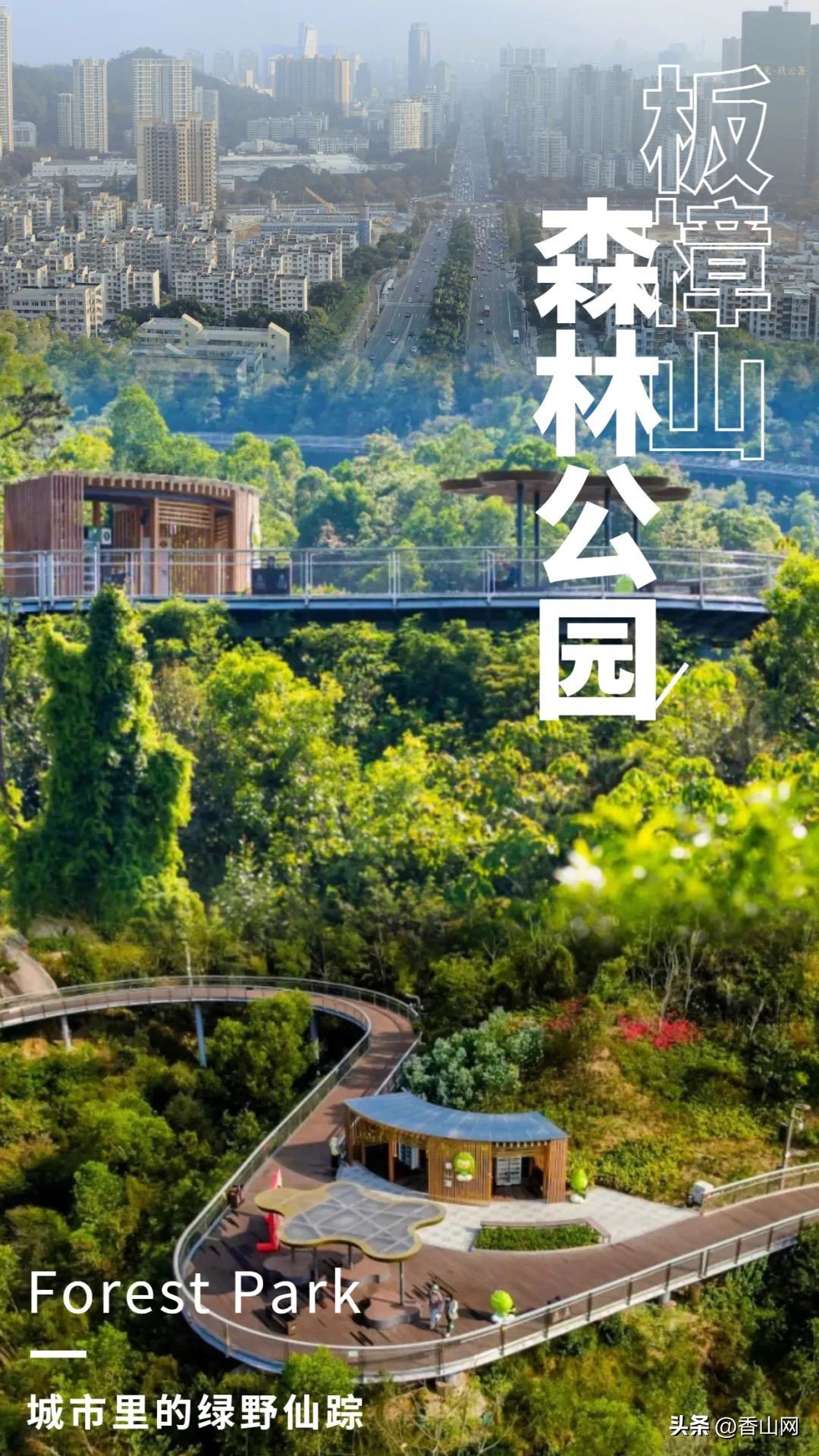 港珠澳大桥澳门珠海,港珠澳大桥珠海怎么过去澳门