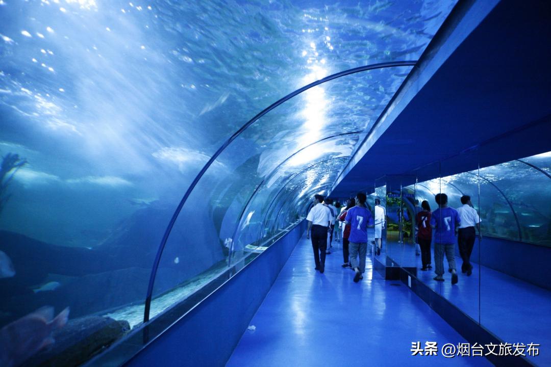 玩转蓬莱威海长岛,蓬莱玩转