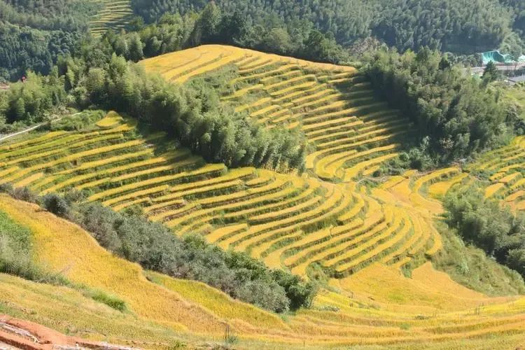 中国少数民族地区的形成,少数民族文化是如何形成的