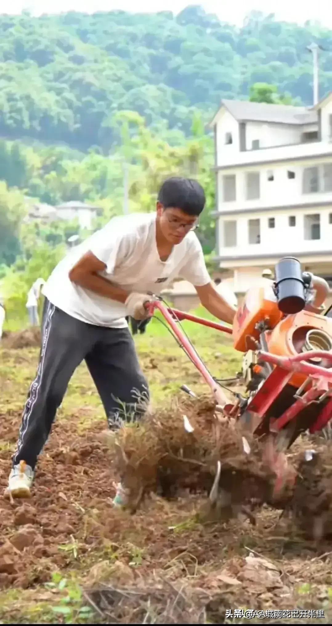 云南农大招生简章火了,云南农大招生简章是什么梗
