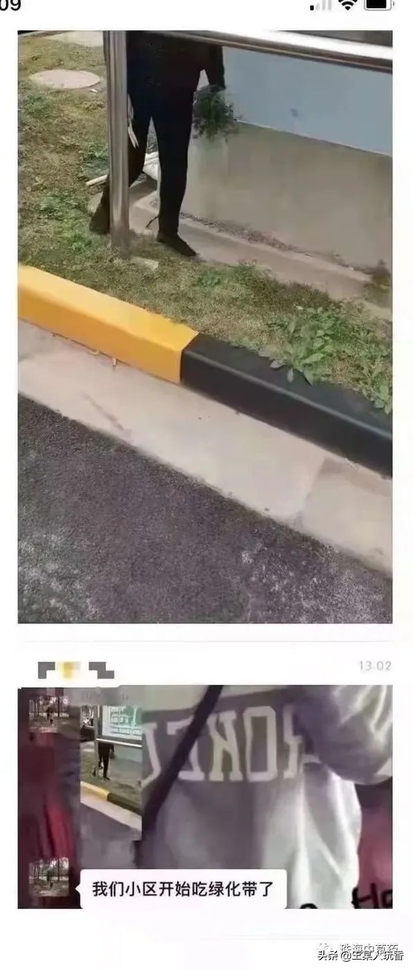 石家庄挖野菜攻略,挖野菜攻略