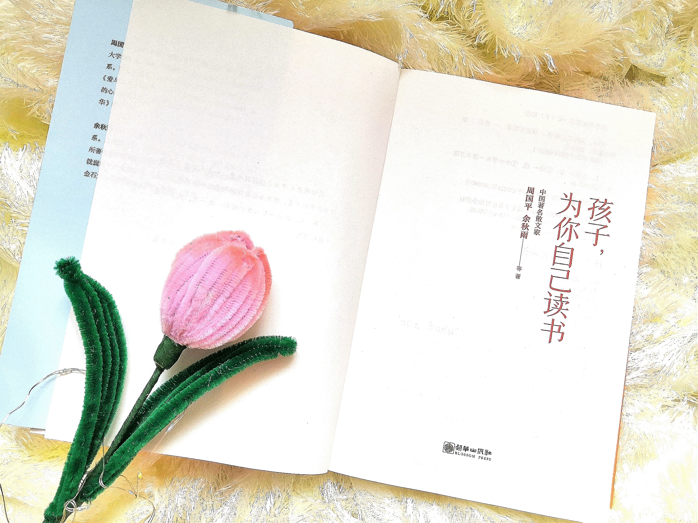 语文启蒙学习方法和技巧,大语文启蒙必看