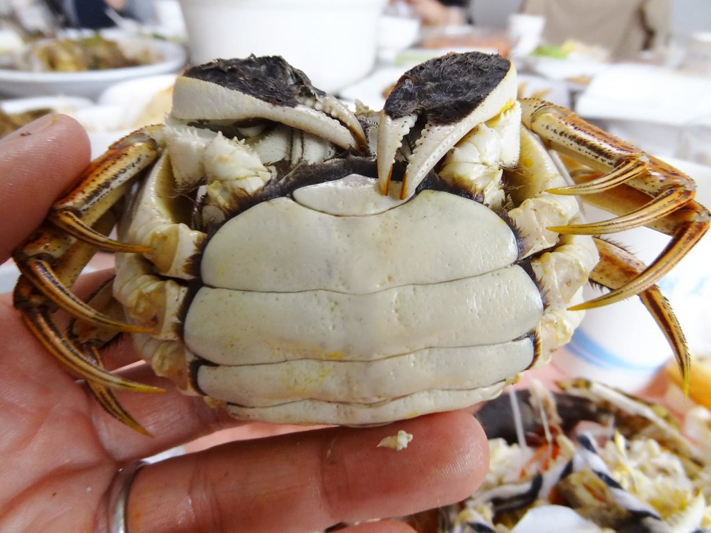 真正的阳澄湖大闸蟹产量,全国一年大概卖多少阳澄湖大闸蟹