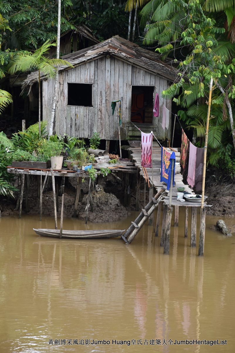 第5047回：消失的亚马逊文明，流失的林下聚居地
