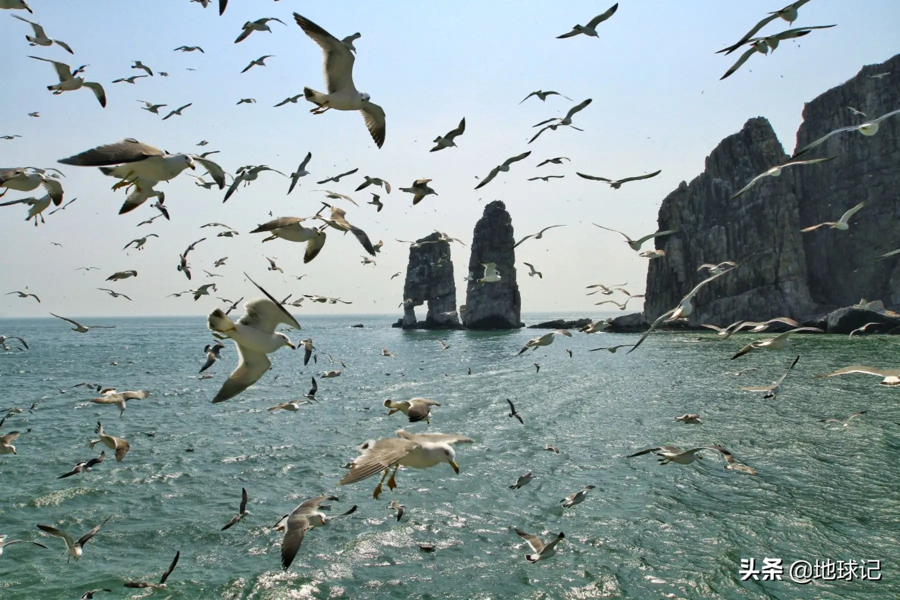 中国最偏僻鱼岛,中国最小的鱼岛