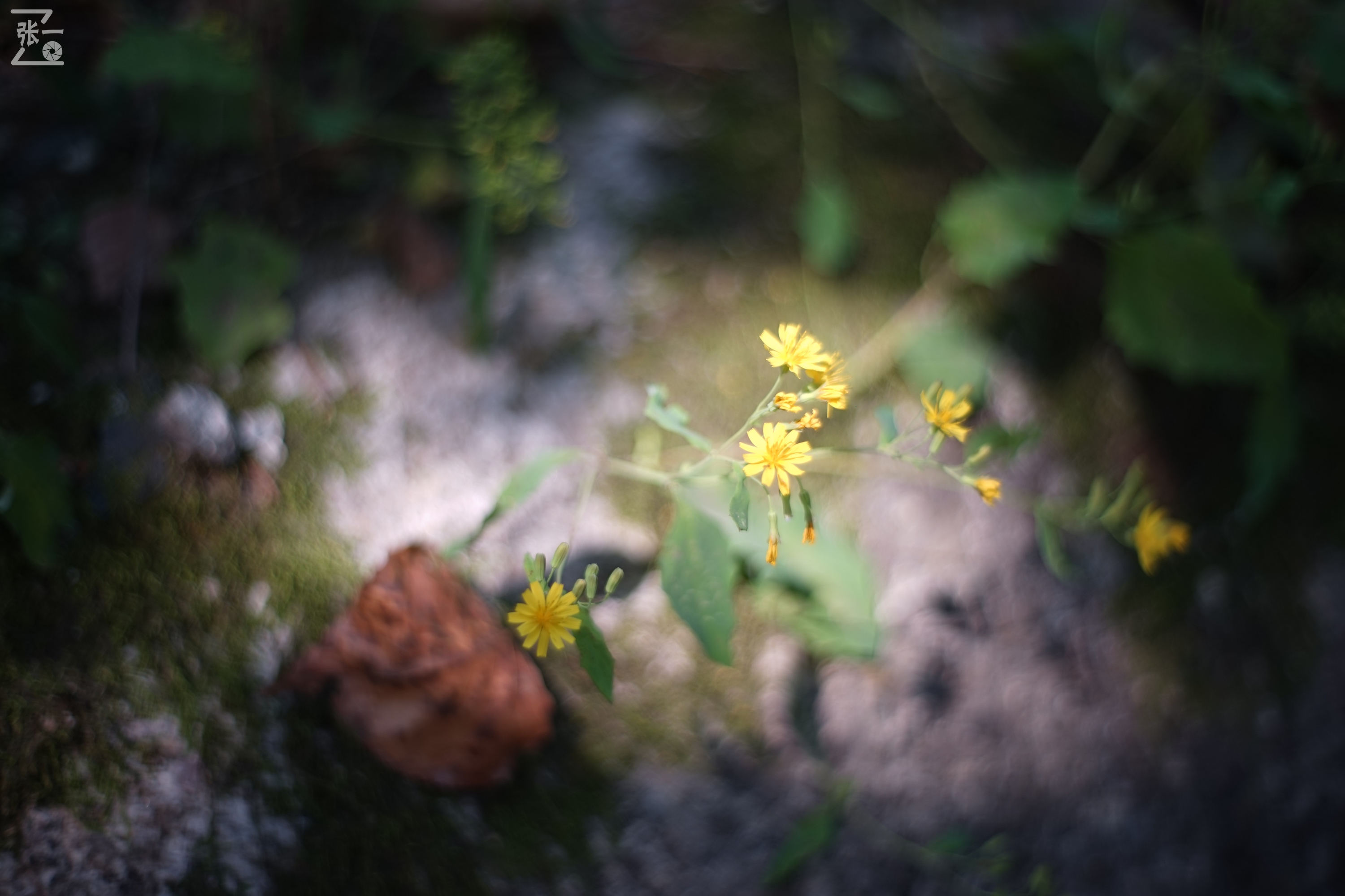 老镜头实拍,老镜头拍北京