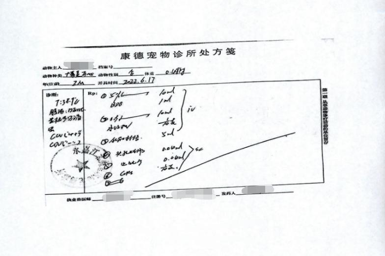 网购爱宠竟为“重病狗”，商家需不需要承担医疗费？