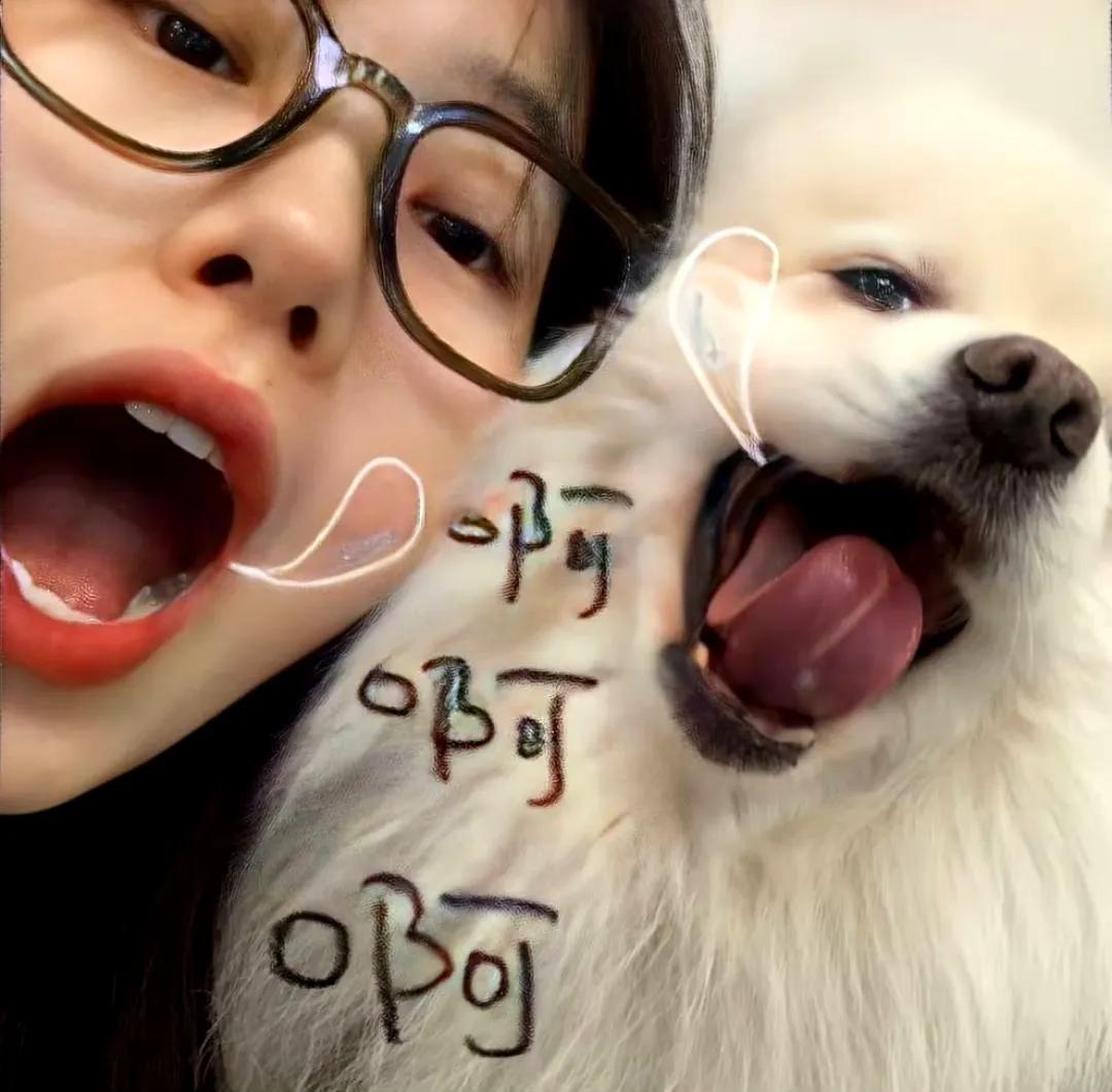 可爱呆萌头像,可爱微信头像