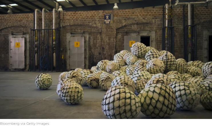 一篇文章帮你搞明白,一篇文章让你了解白酒