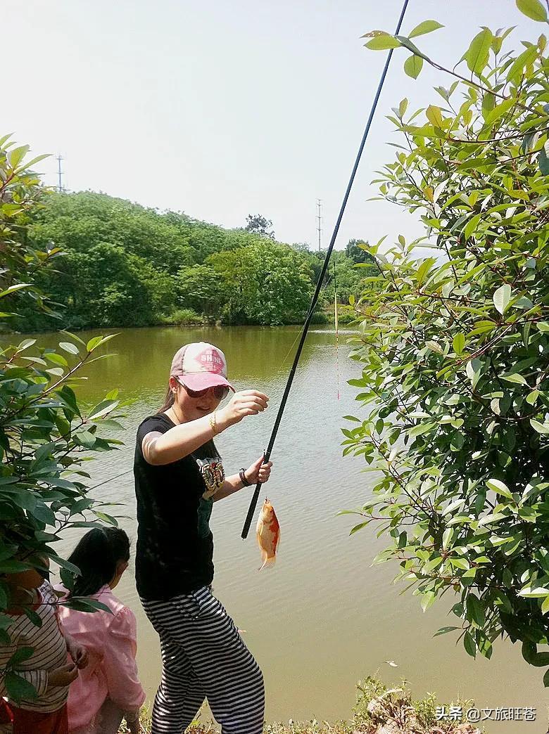 “蓝”不住的“莓”好！旺苍县木门蓝莓基地已开园！