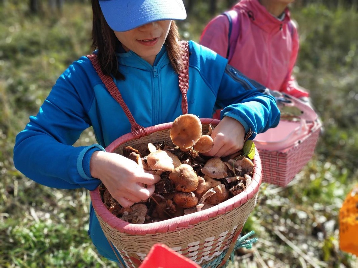 东北的大早市有多好逛,没逛过东北早市的东北人