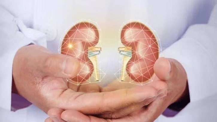 中医推荐吃逍遥丸是为什么,中医解读加味逍遥丸的功效