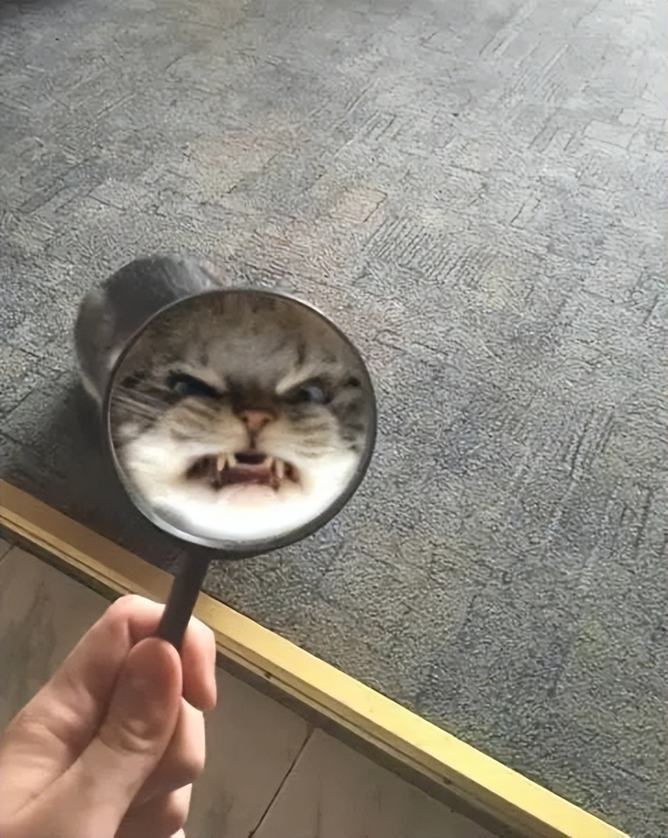 洗米华涉案金额6800亿判多少年,洗米华涉案多少个亿