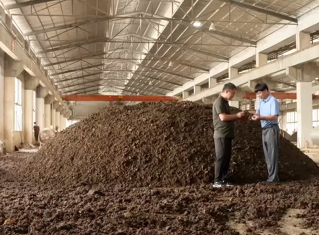 养牛一头牛赚6千的秘密,养牛6头牛一年赚多少钱